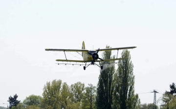 A Velencei- és a Tisza-tónál is irtják a szúnyogokat