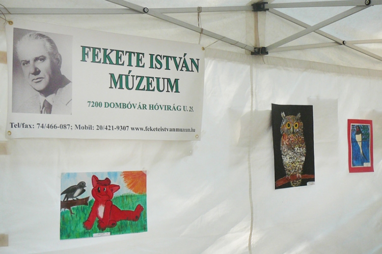 A Fekete István Múzeum a Múzeumok Majálisán 2012.05.19-20.