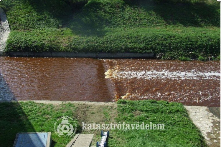 Halpusztulás a Kaposon