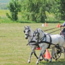 Fogathajtó bajnokság Dombóvár