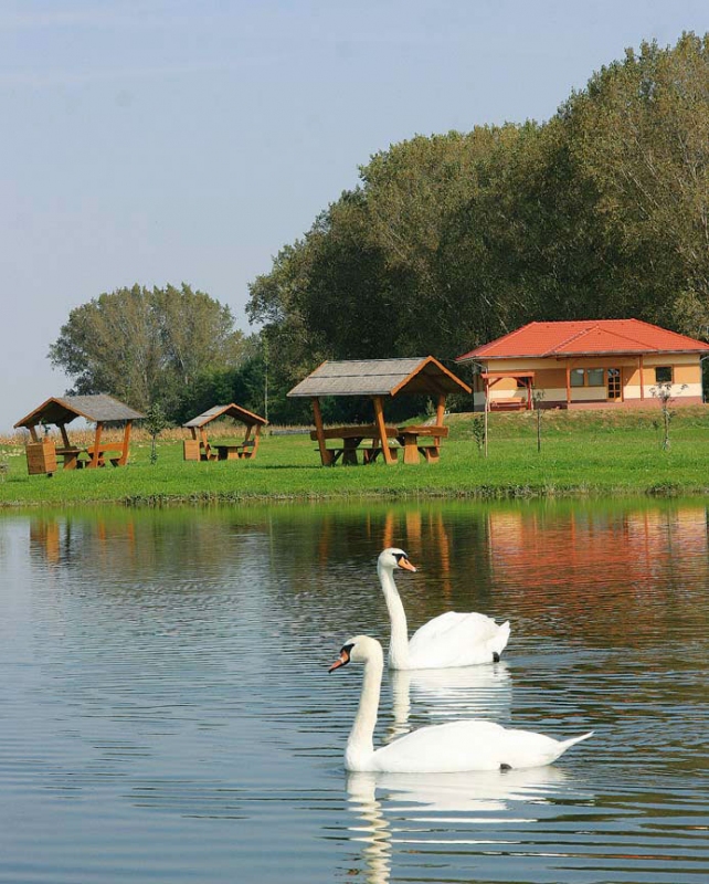 Csikóstőttős Vendégház